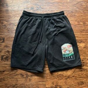 Rare Zion National Park Utah shorts size L